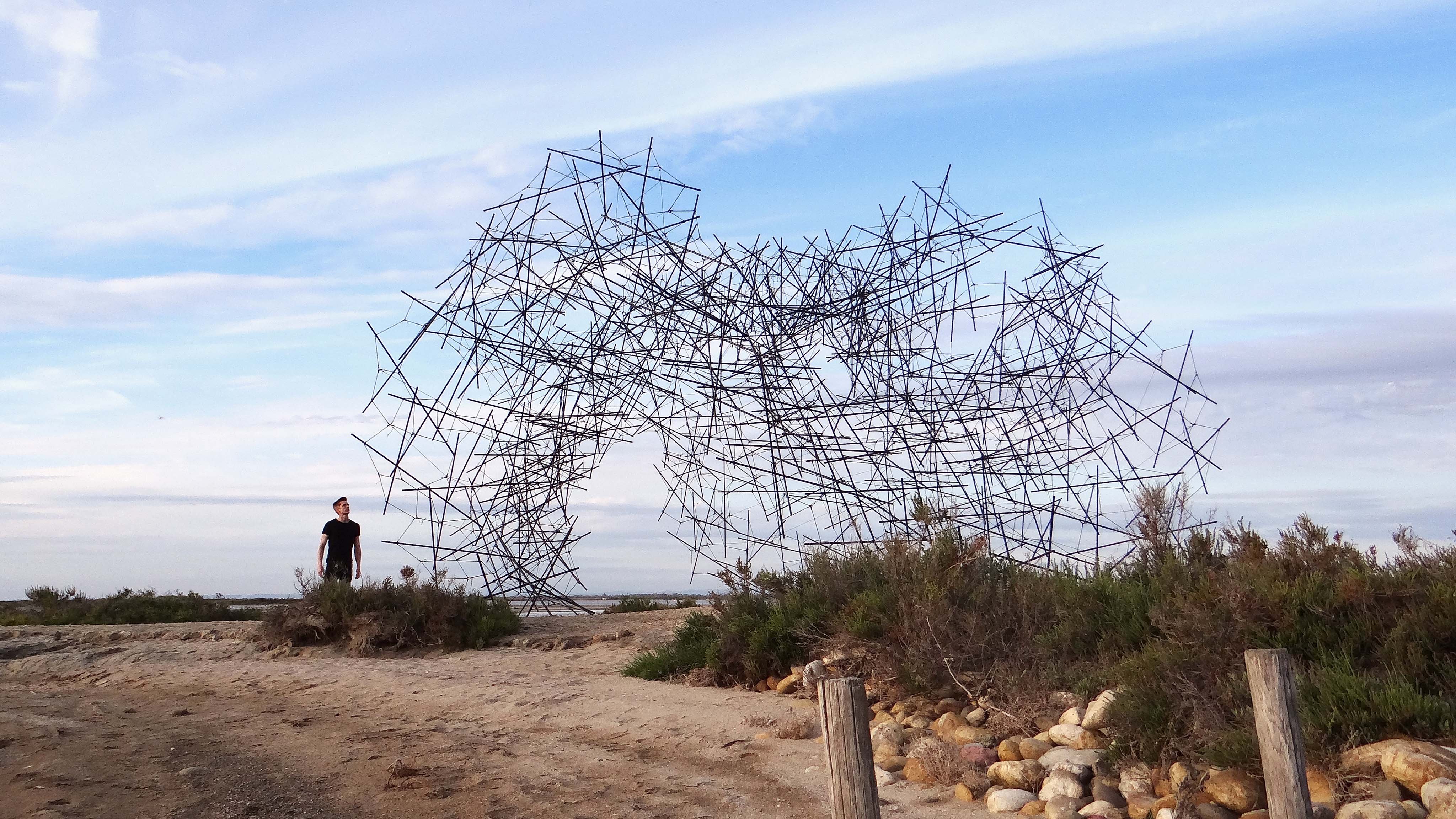 Ludovic Regnault - Murmurations